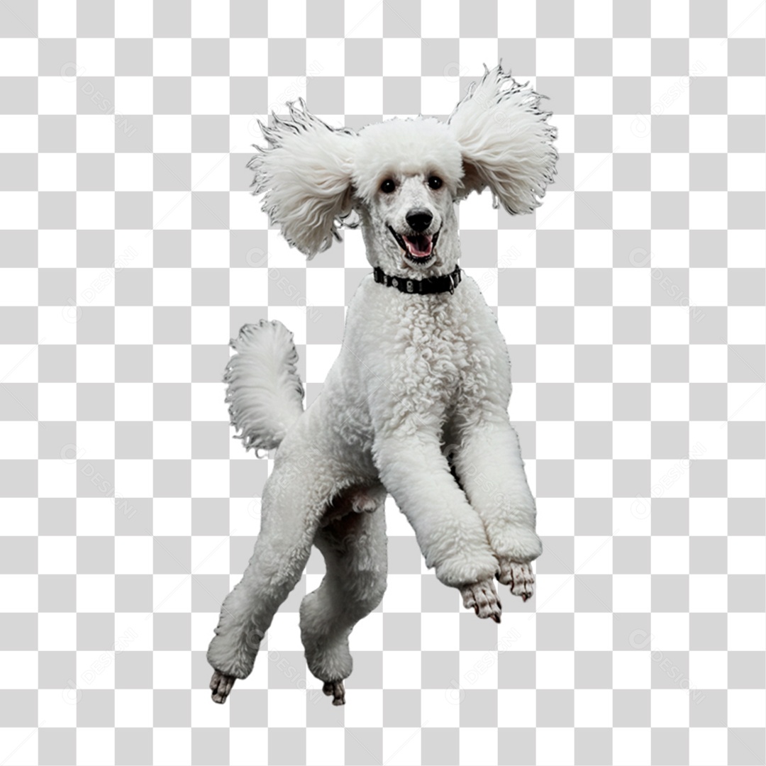 Cachorro Brincando PNG Transparente
