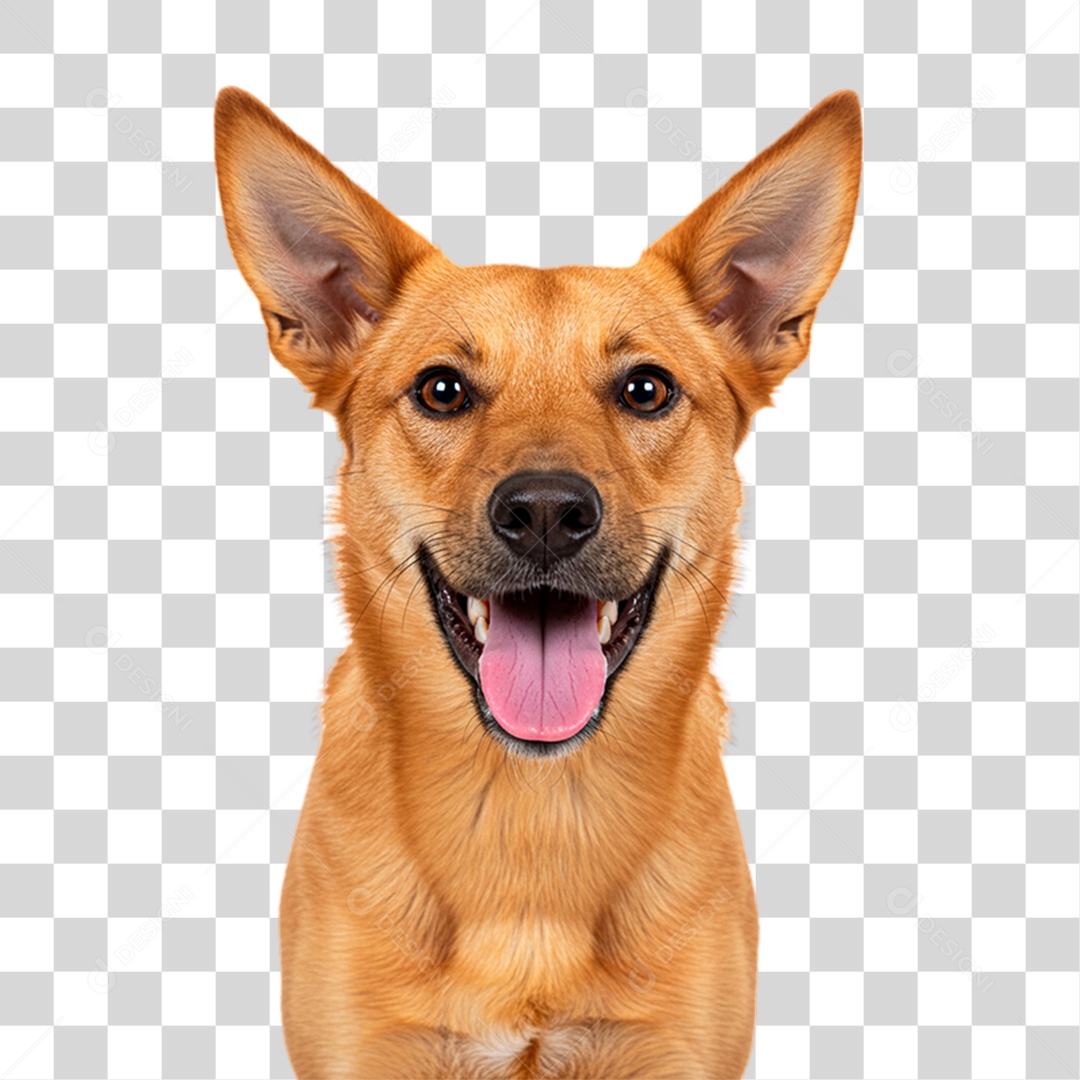 Cachorro Animal de Estimação PNG Transparente