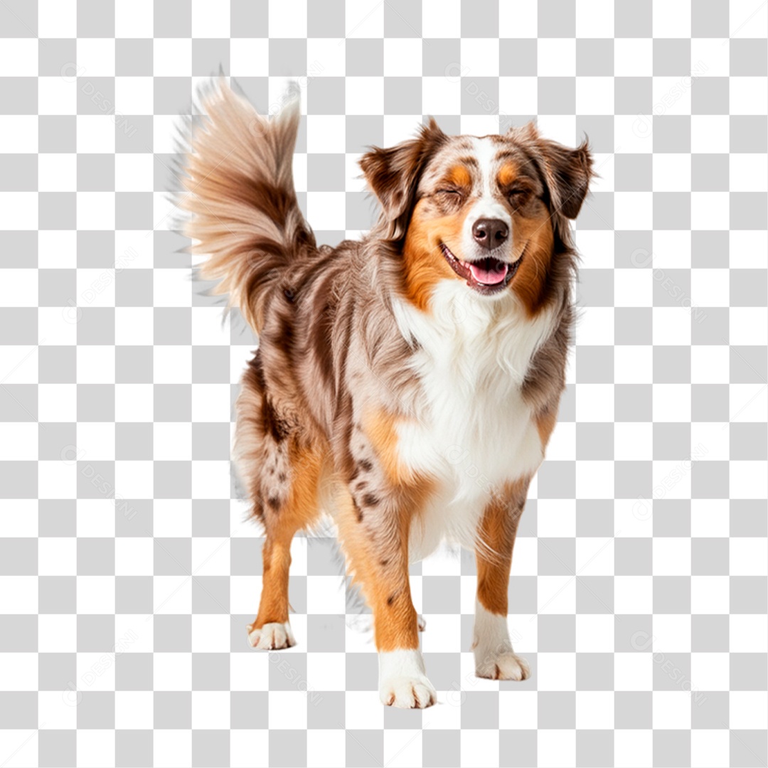 Cachorro Brincando PNG Transparente