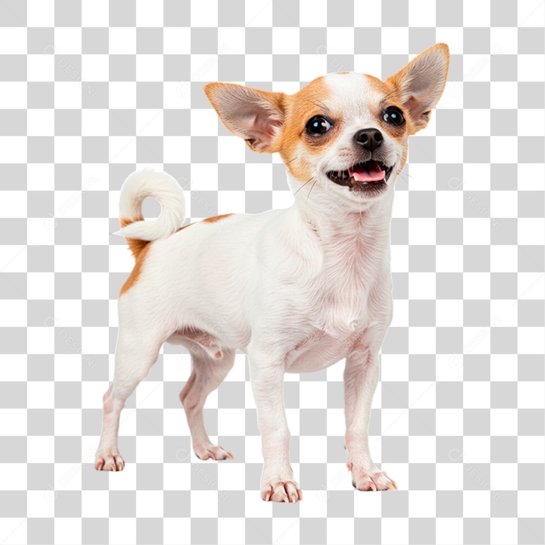 Cachorro Animal de Estimação PNG Transparente