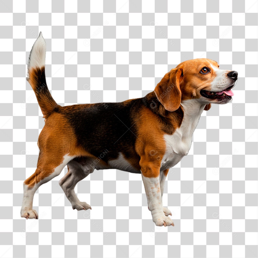 Cachorro Animal de Estimação PNG Transparente