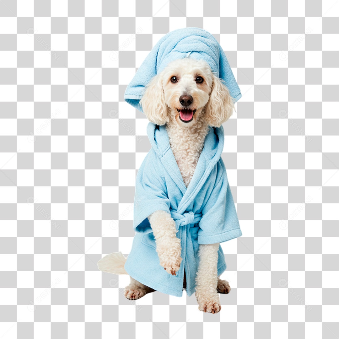 Cachorro com Roupinha PNG Transparente