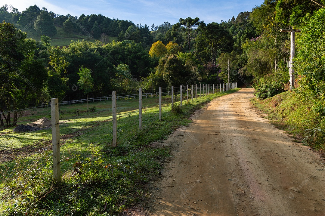 A imagem retrata uma trilha ou caminho rural de terra