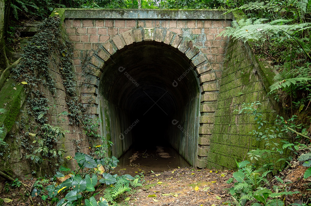 A imagem mostra a entrada de um túnel ferroviário