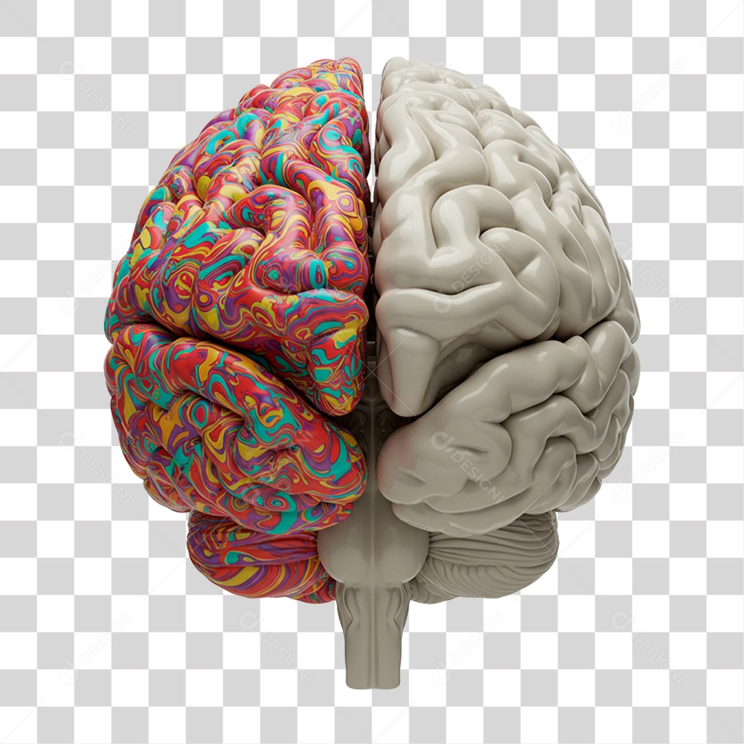 Cérebro Humano PNG Transparente