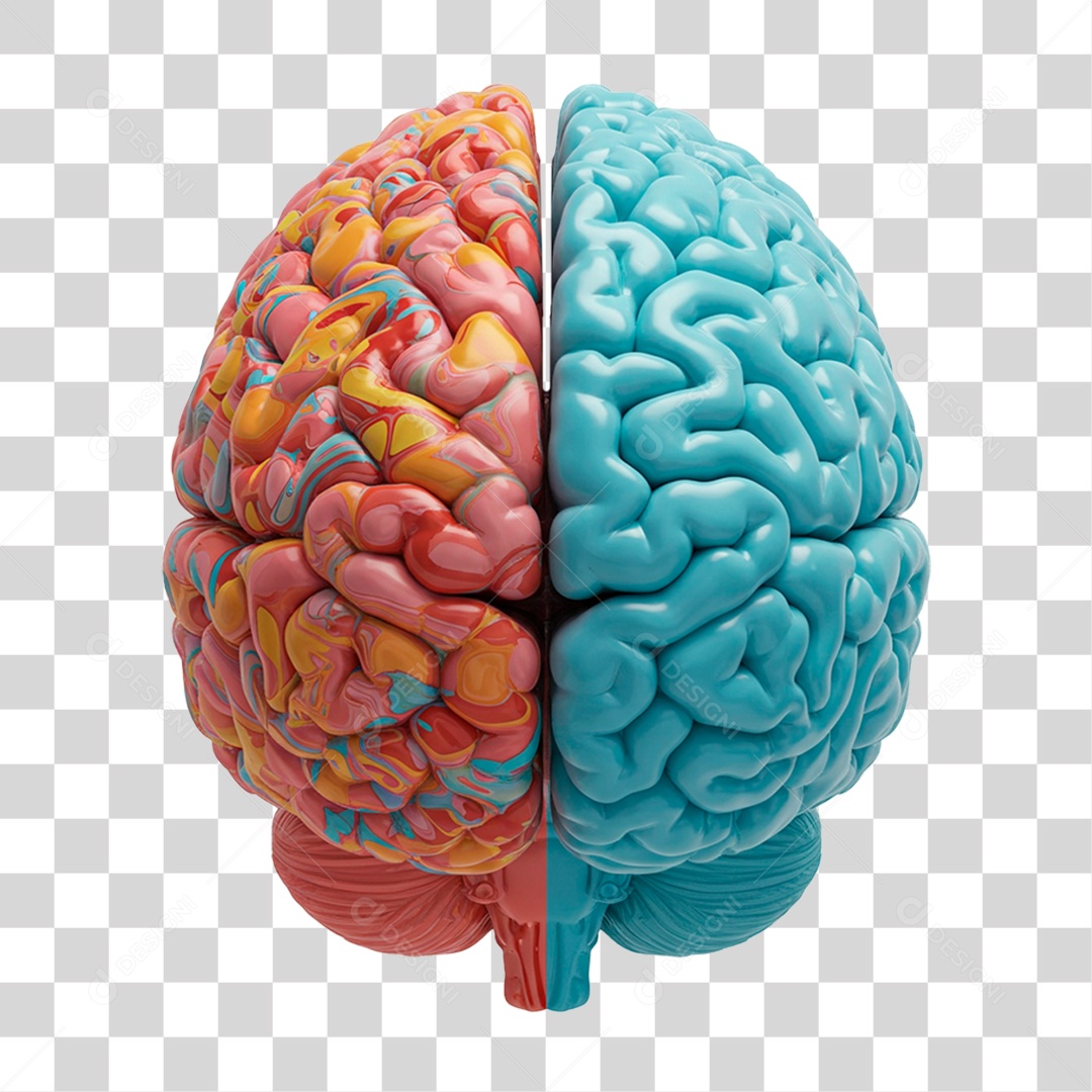 Cérebro Humano PNG Transparente