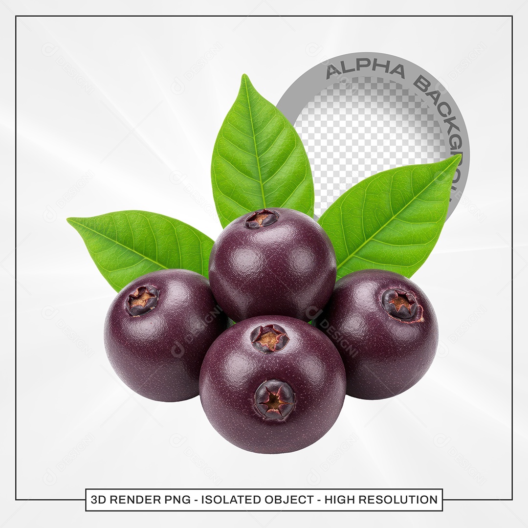 Açai Fruta Elemento 3D Para Composição PSD