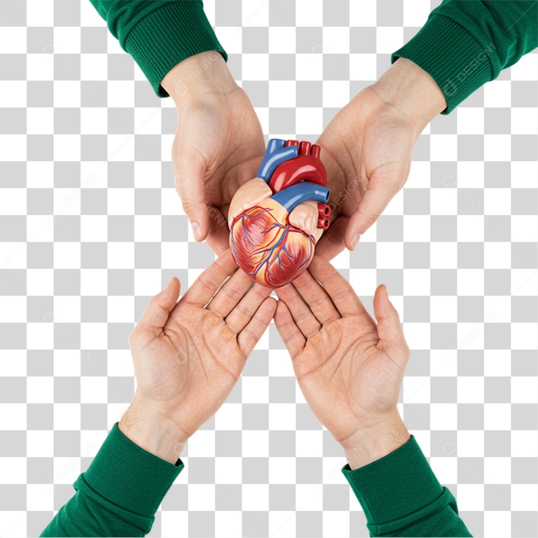 Coração Campanha de Conscientização Setembro Verde PNG Transparente