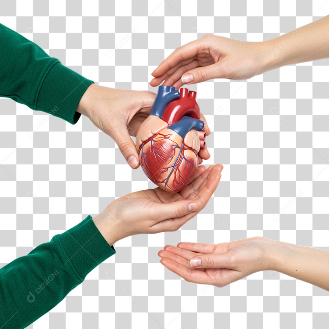 Coração Campanha de Conscientização Setembro Verde PNG Transparente