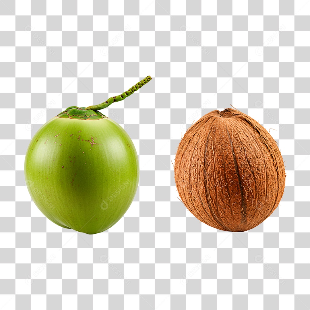 Coco Verde e Maduro PNG Transparente