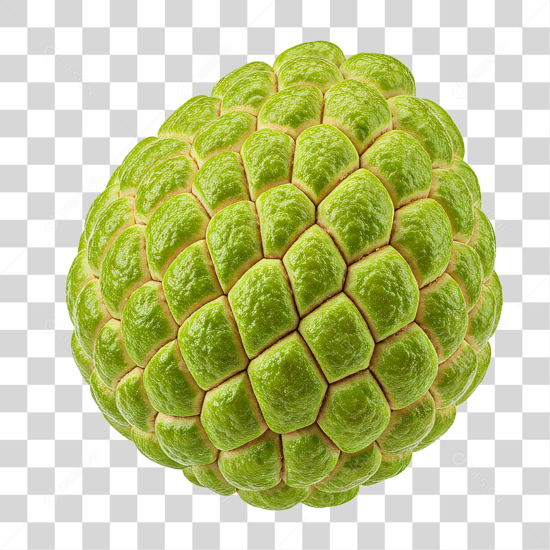 Pinha Fruta do Conde PNG Transparente