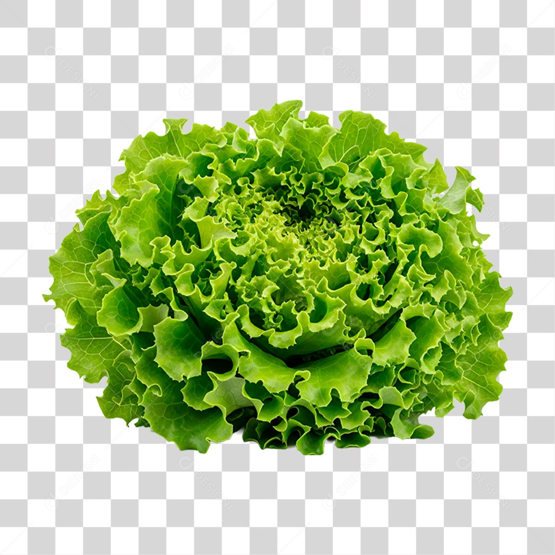 Folha de Alface PNG Transparente