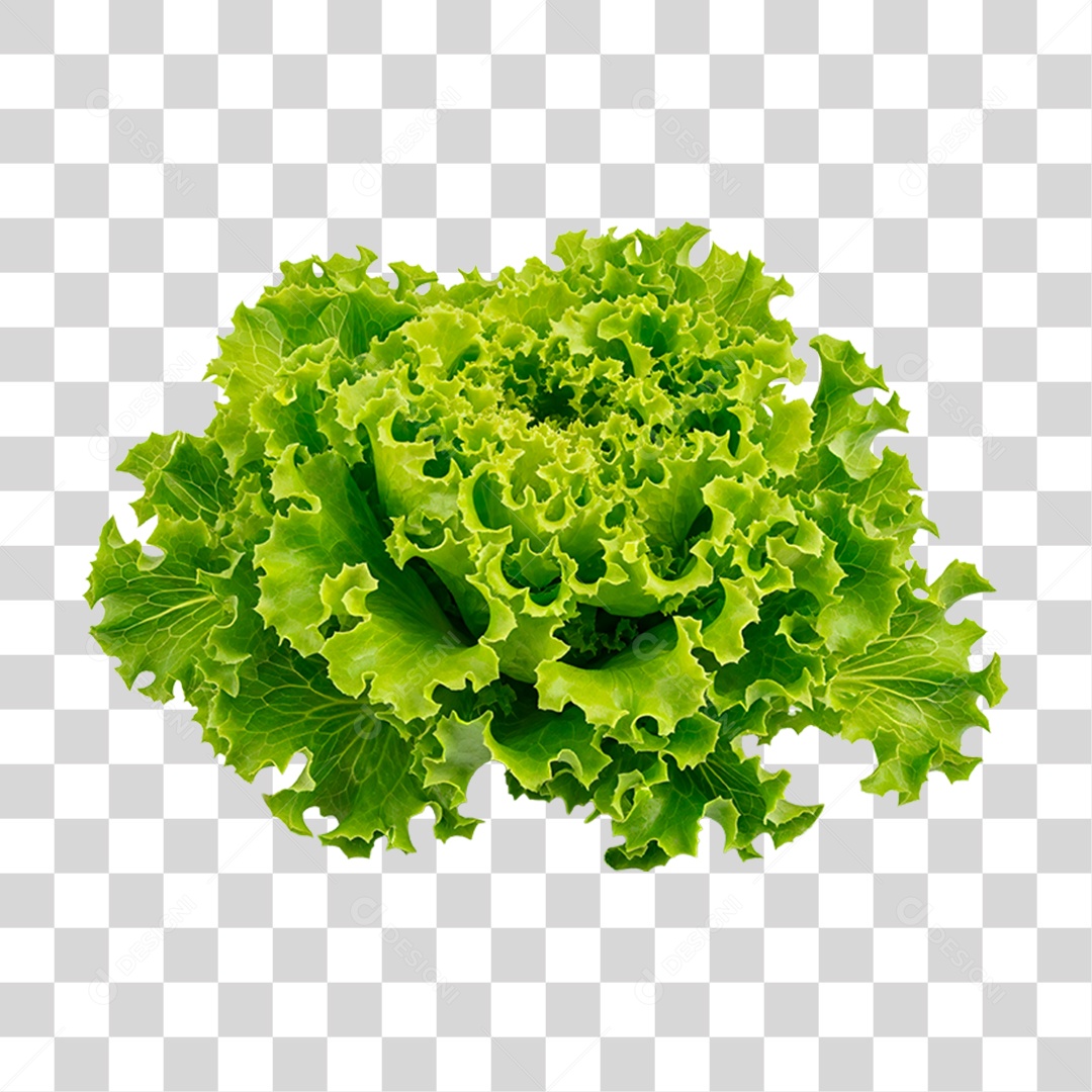 Folha de Alface PNG Transparente