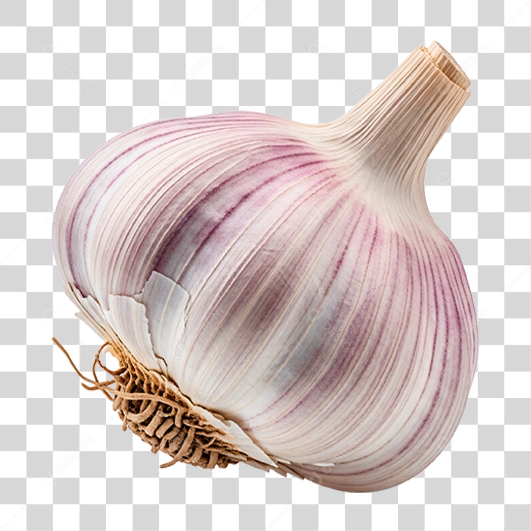 Cabeça de Alho PNG Transparente