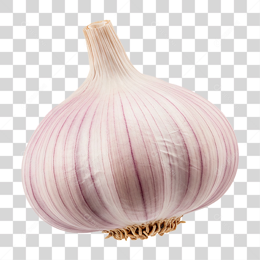 Cabeça de Alho PNG Transparente