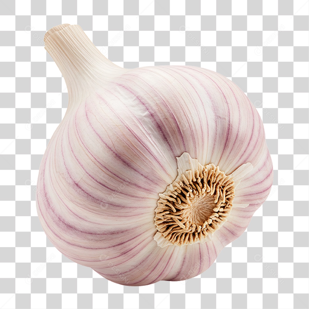 Cabeça de Alho PNG Transparente