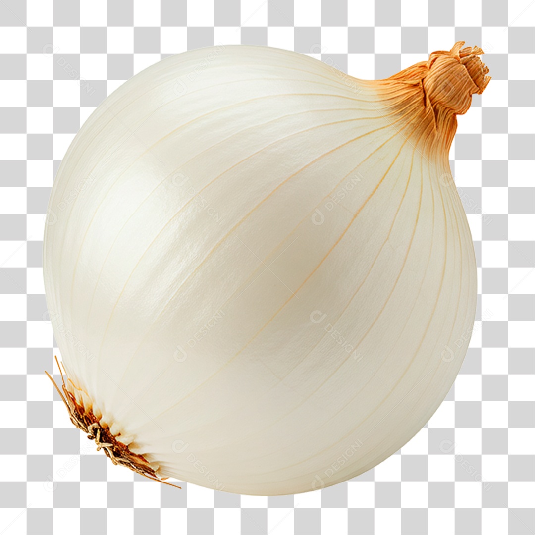 Cebola Branca PNG Transparente