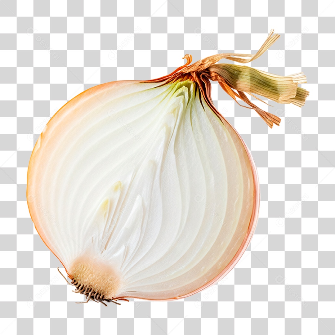 Cebola Partida ao Meio PNG Transparente