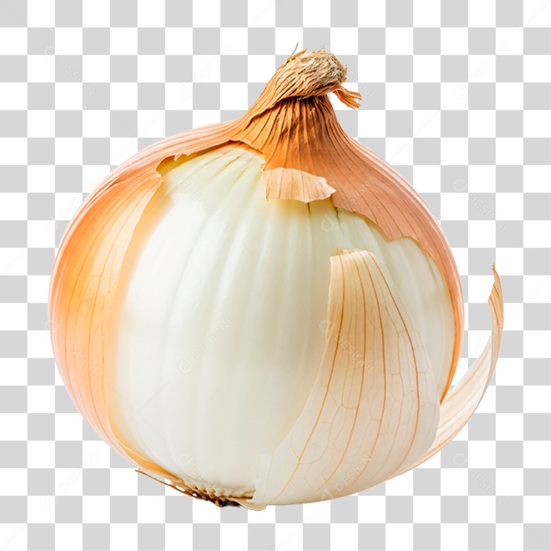 Cebola Branca PNG Transparente