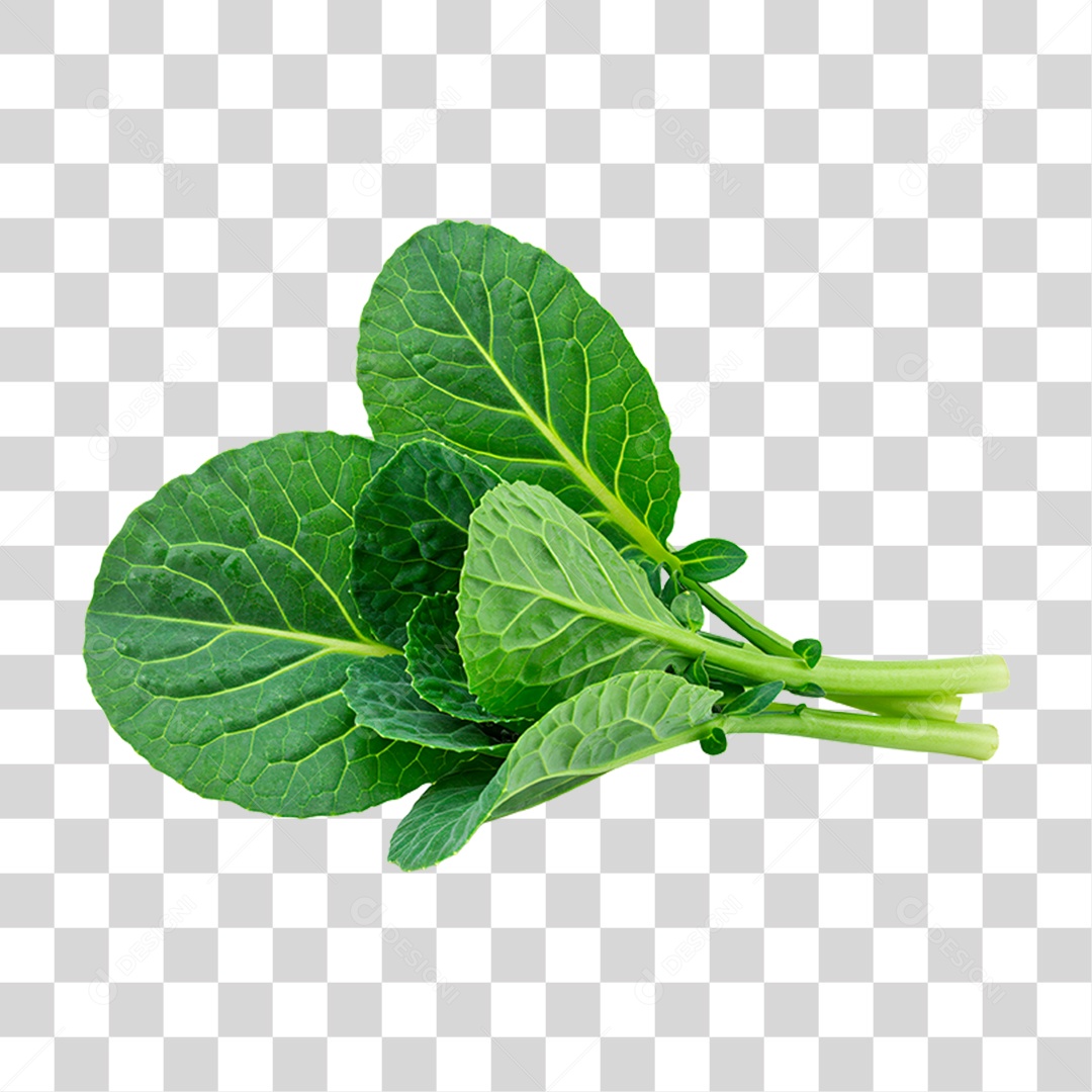 Folha de Couve PNG Transparente