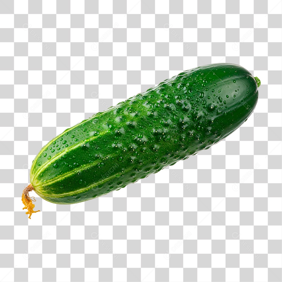Pepino Verde PNG Transparente