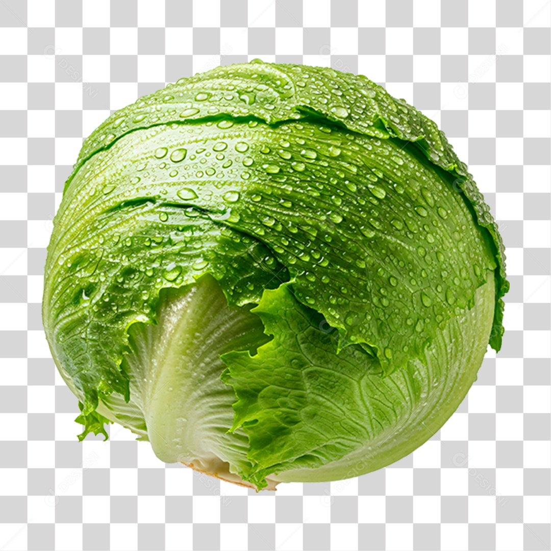 Repolho Verde PNG Transparente