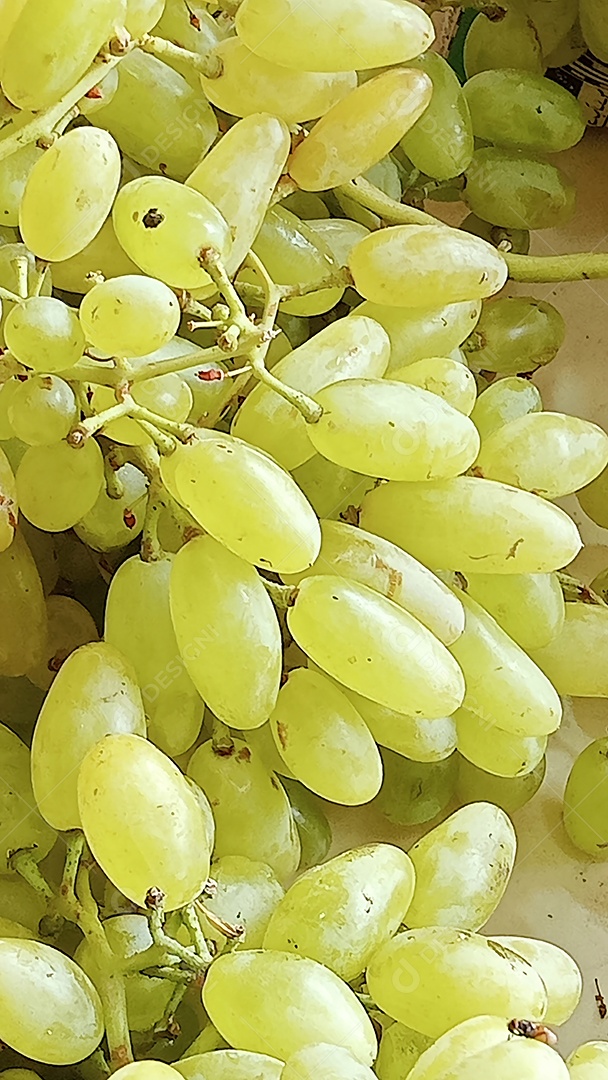 A imagem mostra um cacho de uvas verdes sem sementes, que provavelmente são da variedade Sultanina