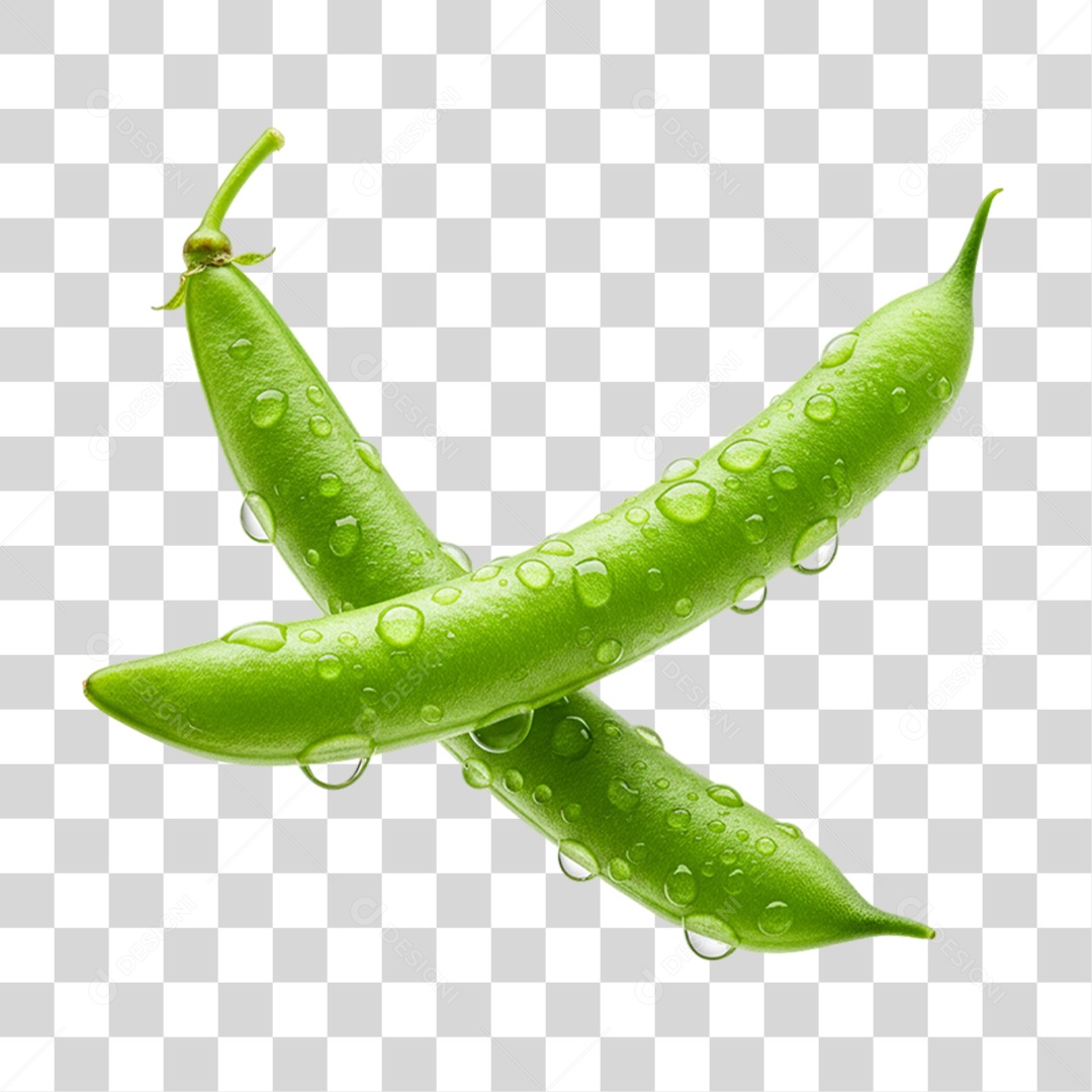 Vegetal Vaje PNG Transparente