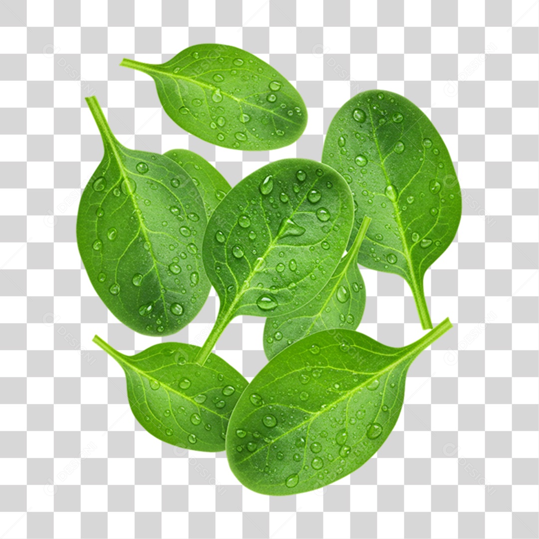 Vegetal Folhas de Rúcula PNG Transparente