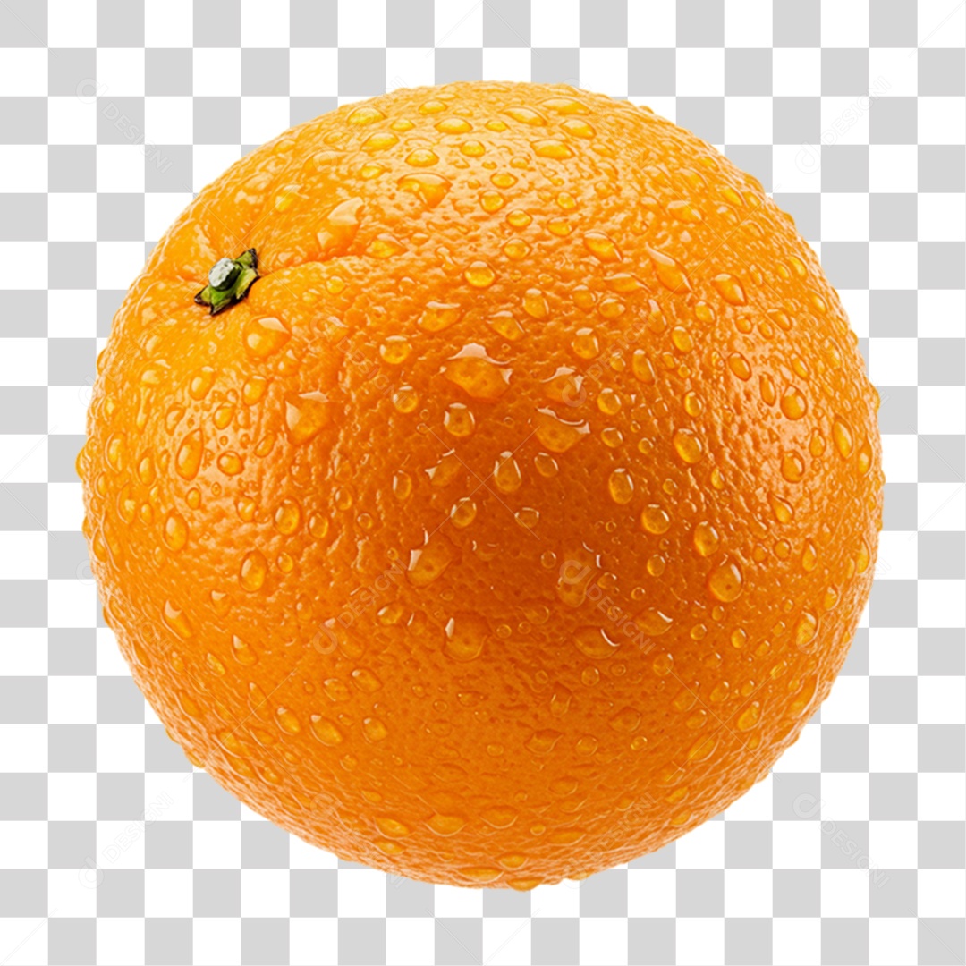 Fruta Laranja PNG Transparente