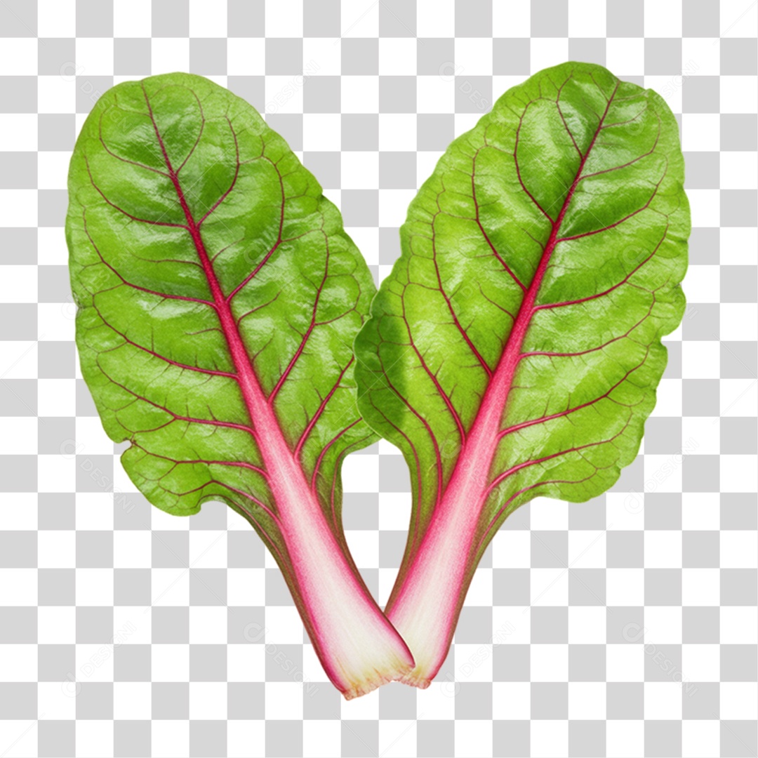 Vegetal Folhas de Couve PNG Transparente