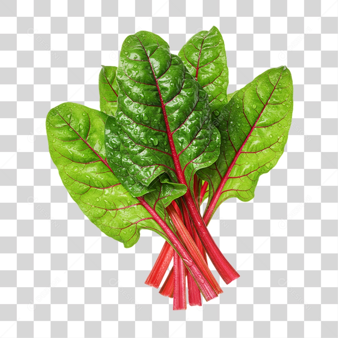 Vegetal Folhas de Couve PNG Transparente