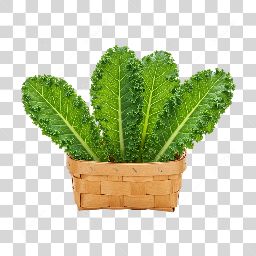 Vegetal Folhas de Couve PNG Transparente