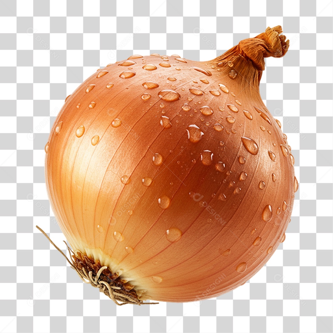 Cebola PNG Transparente
