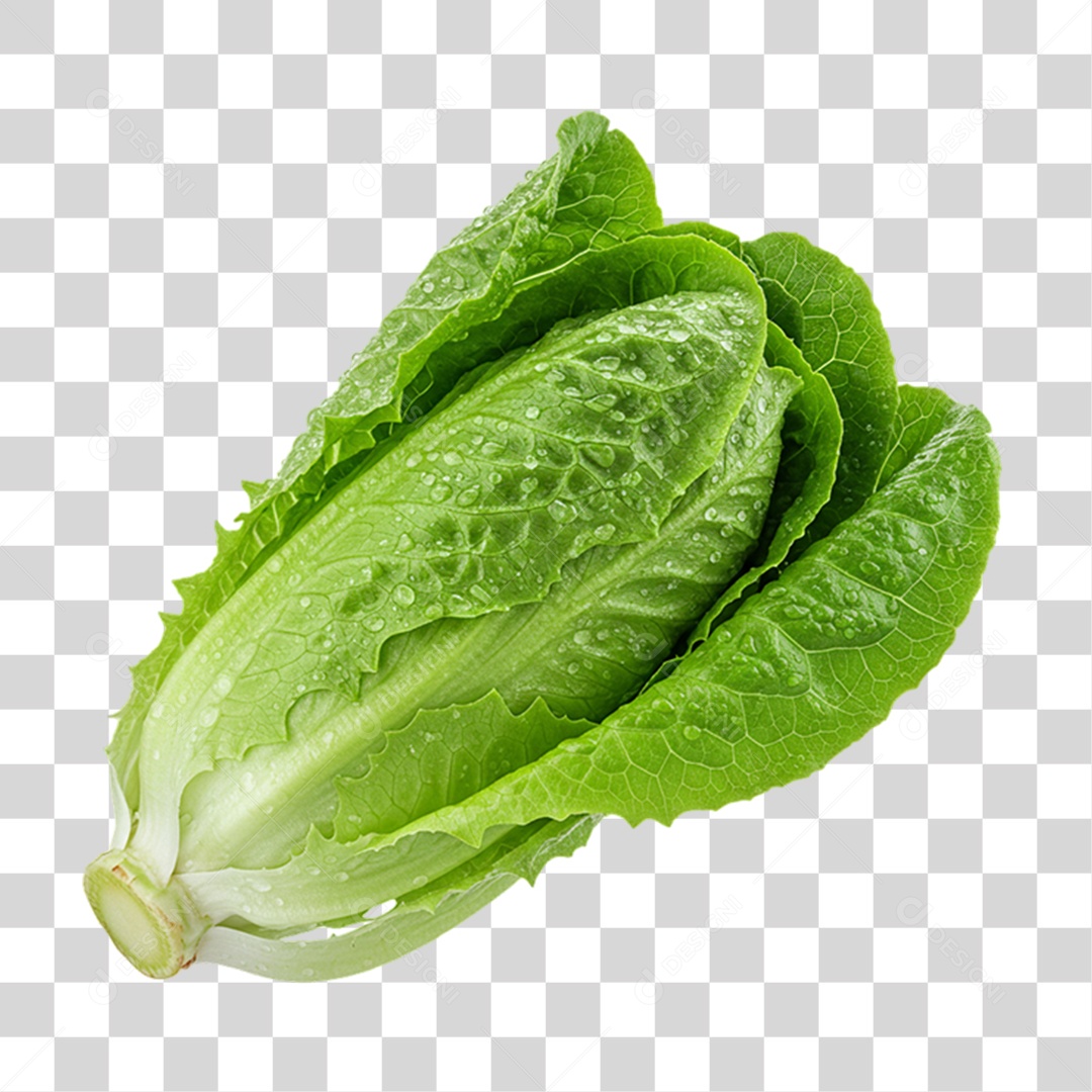Vegetal Folhas de Alface PNG Transparente