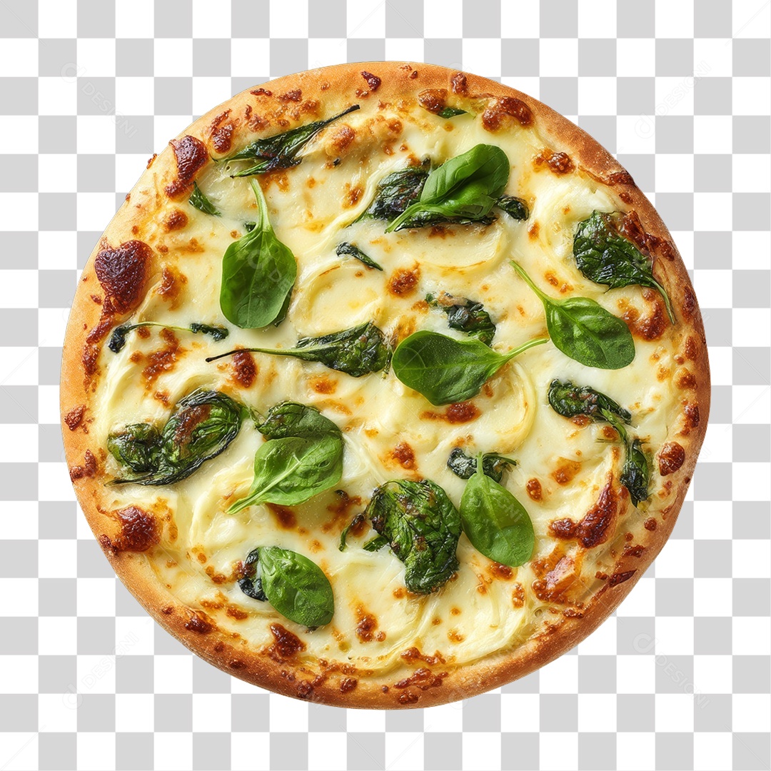 Pizza Flavors Transparent PNG