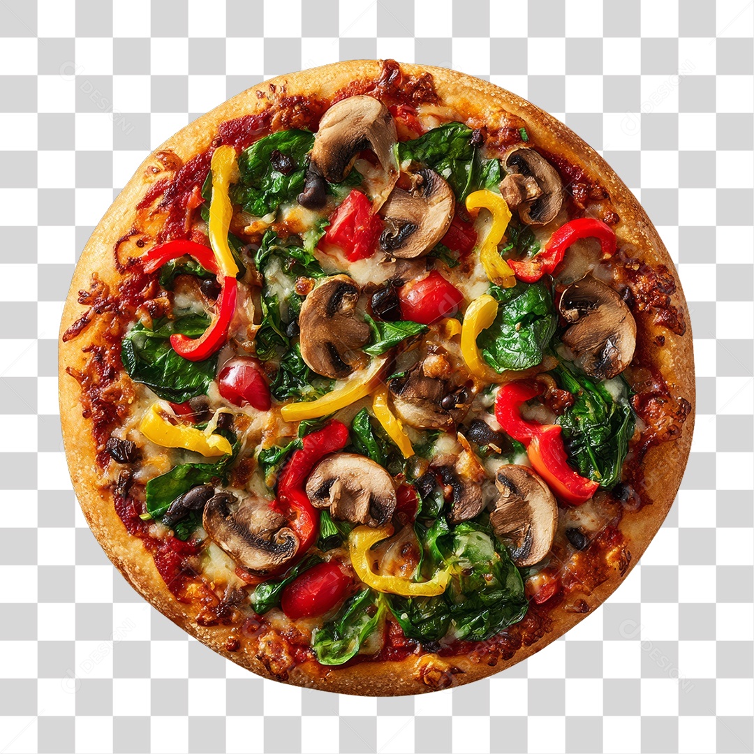 Pizza Flavors Transparent PNG