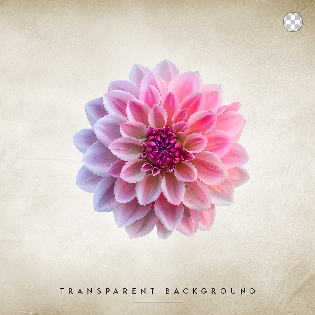 Elemento 3D Flor Rosa Para Composição PSD