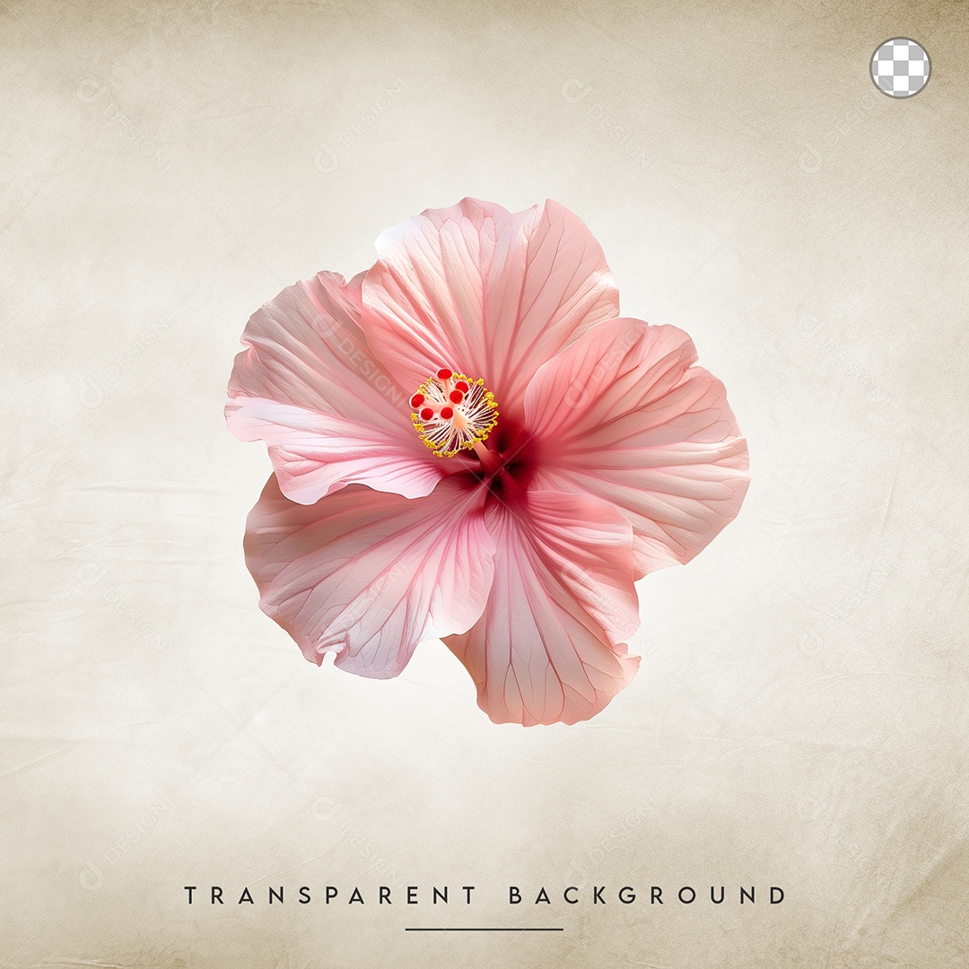 Elemento 3D Flor De Hibisco Para Composição PSD