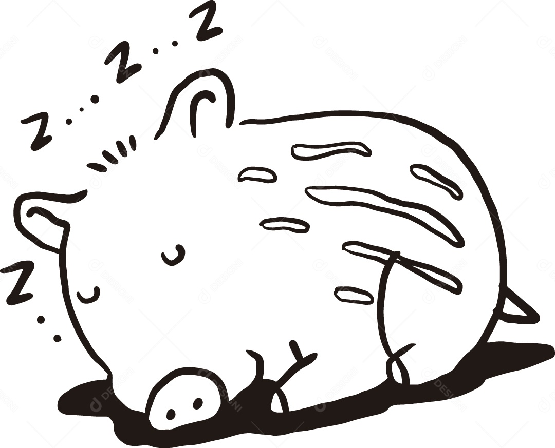 Desenho para Colorir Filhote de Javali Ilustração Vetor EPS