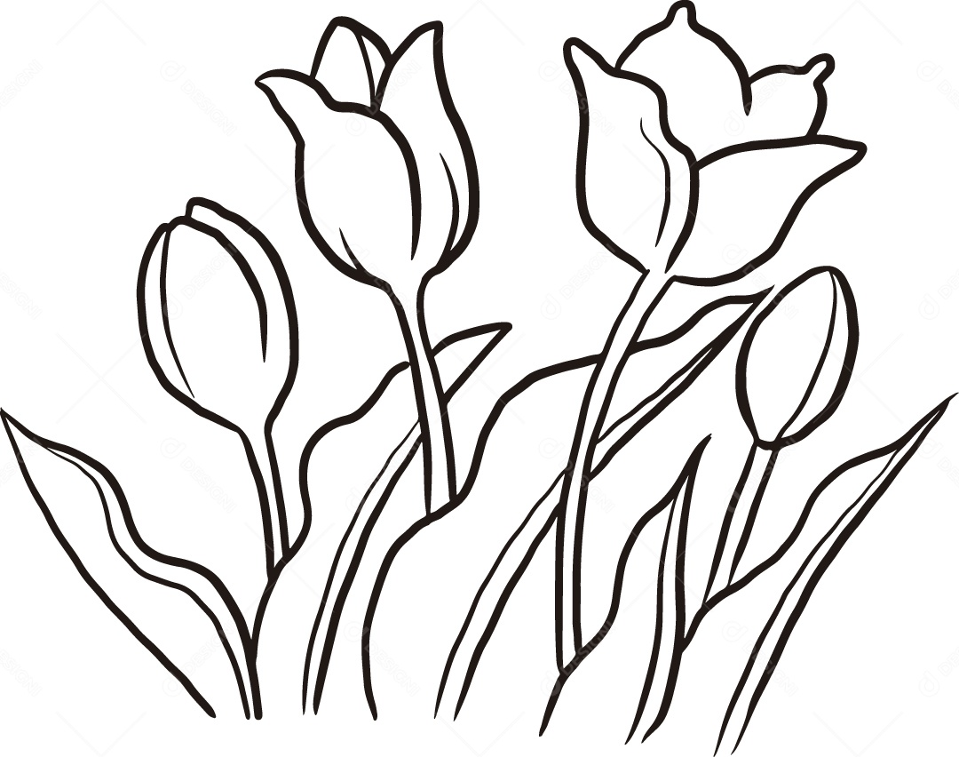 Desenho para Colorir Flores Ilustração Vetor EPS