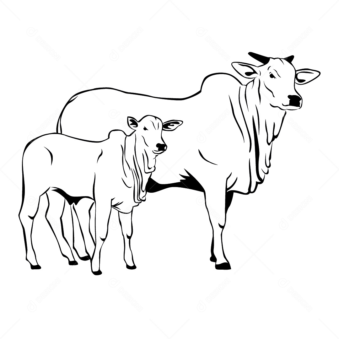Desenho de Vacas Ilustração Vetor EPS