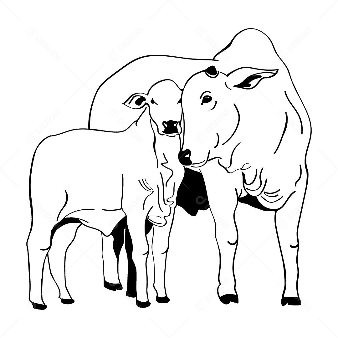 Desenho de Vacas Ilustração Vetor EPS