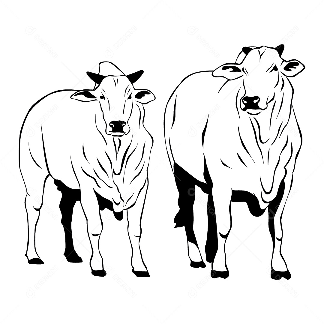 Desenho de Vacas Ilustração Vetor EPS