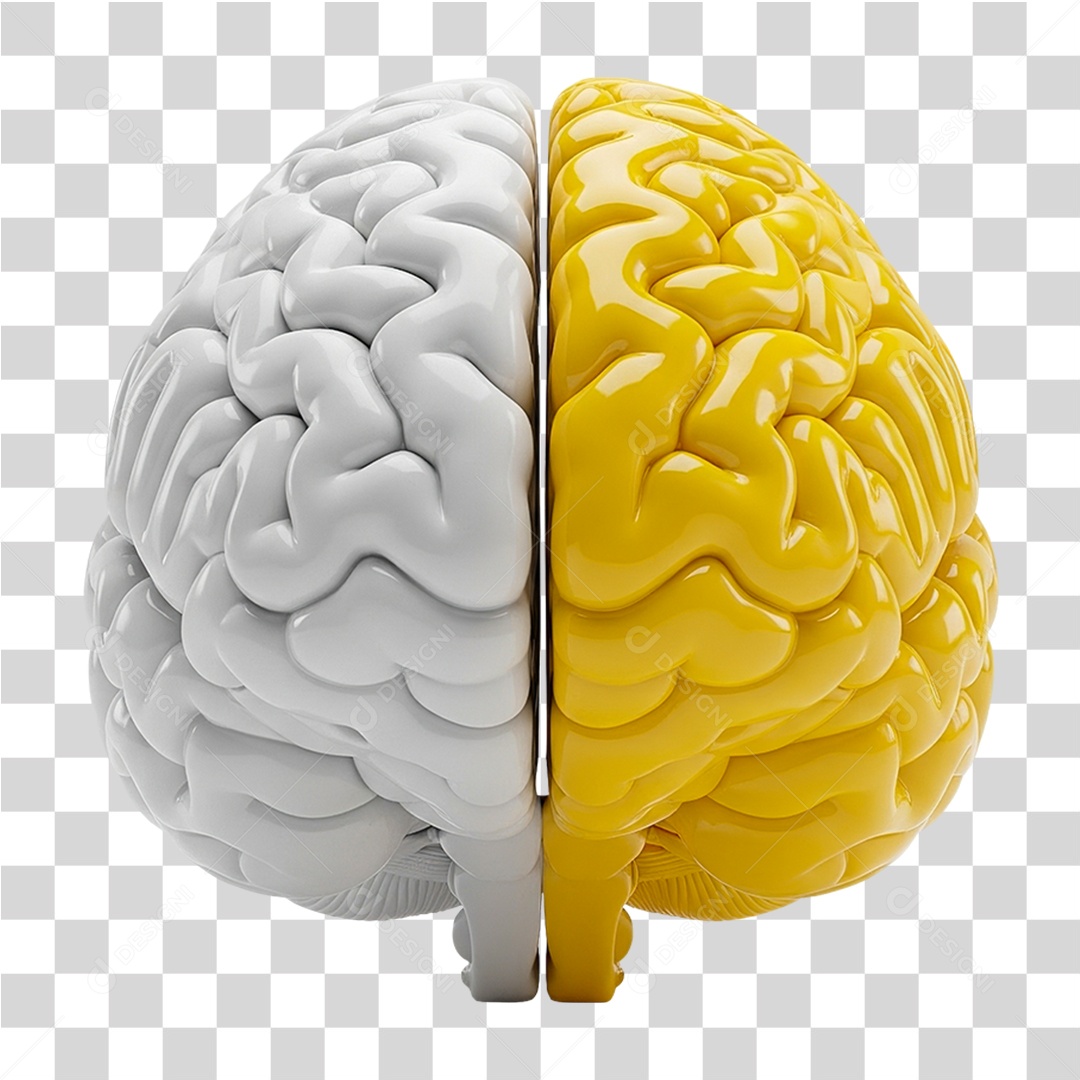 Elemento 3D Representação de um Cérebro Colorido PNG Transparente