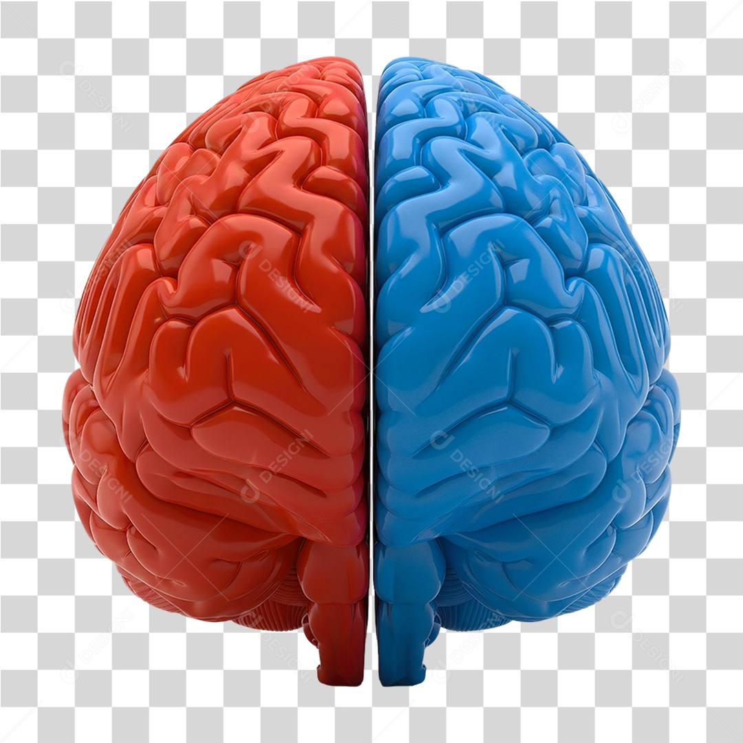 Elemento 3D Representação de um Cérebro Colorido PNG Transparente