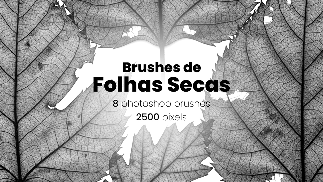 Folhas Secas Brush ABR