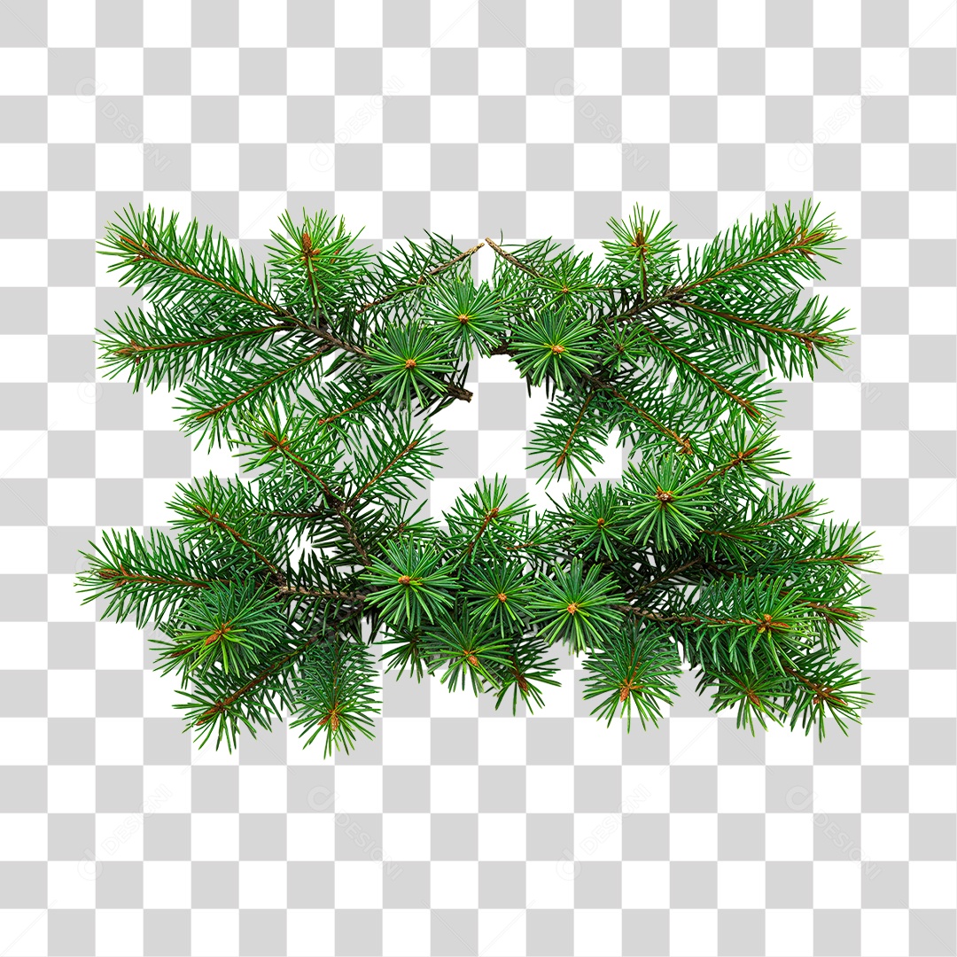 Galhos de Pinheiro PNG Transparente