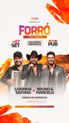 Story Flyer Forró Sertanejo Social Media PSD Editável