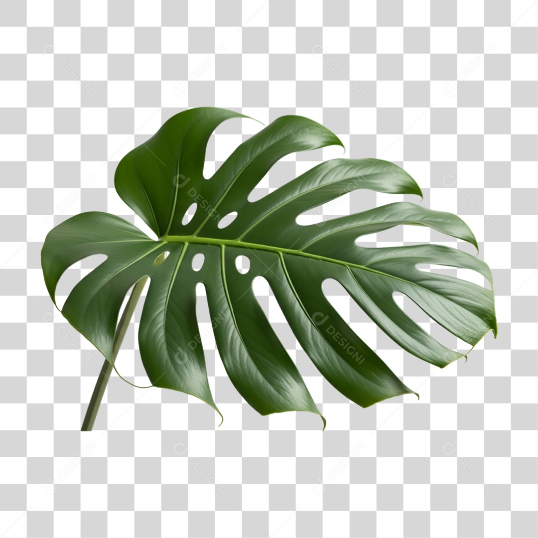 Folha Verde PNG Transparente